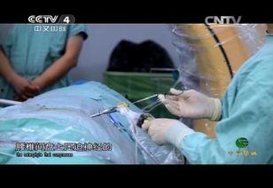 膨视频,揭秘短视频时代的魅力与挑战