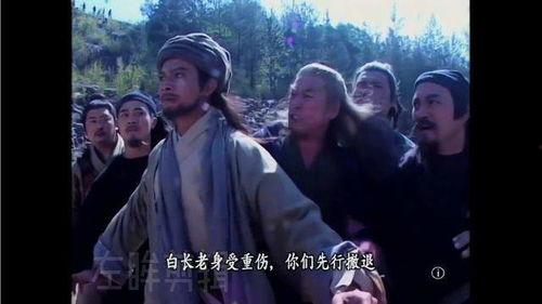 乔峰杏子林视频,探寻武侠世界中的田园诗篇