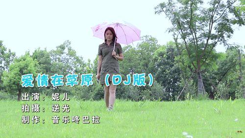 爱情在草原dj视频,DJ版爱情在草原视频赏析