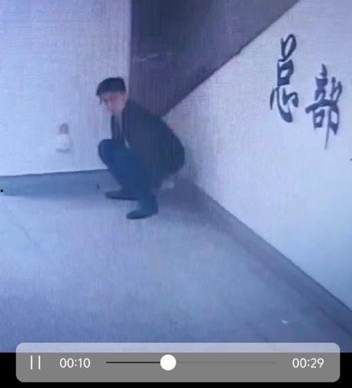 男生拉屎的视频大全