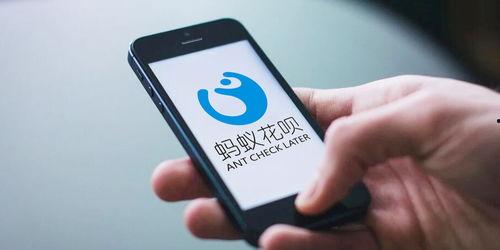 威康视频,探索科技与生活的完美融合