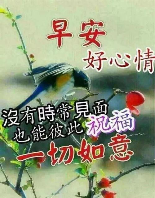 早晨祝福视频,视频中的温馨早晨问候