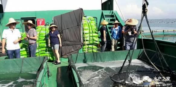 网箱养殖视频,视频带你走进高效水产养殖世界